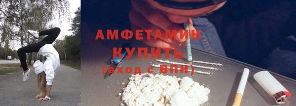 шишки Майский