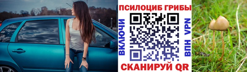 Псилоцибиновые грибы прущие грибы  Оса 